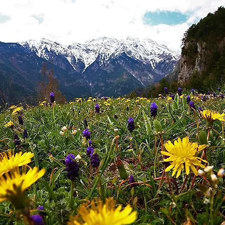 بيت شباب Summit Zero *