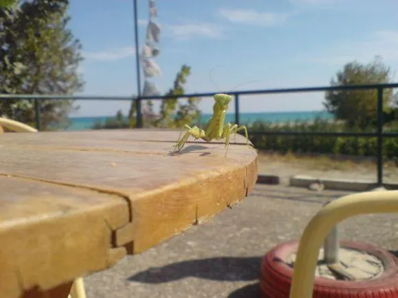 Hostal Summit Zero *