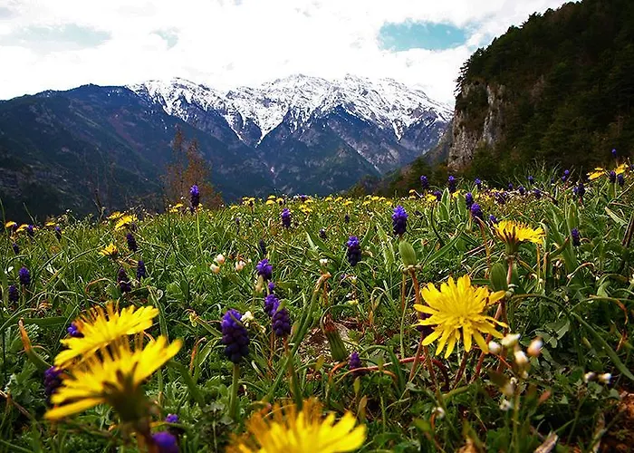 Hostal Summit Zero *